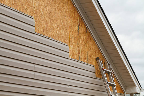 Best Residential Vinyl Siding Installation  in USA